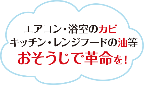 エアコン・浴室のカビ キッチン・レンジフードの油等 おそうじで革命を！